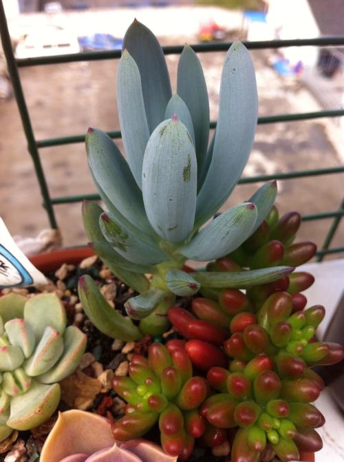 交通运输部:小客车租赁经营者不得随车提供劳务