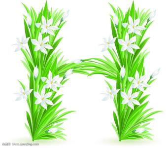 注意!监管部门提醒警惕网络平台诱导过度借贷