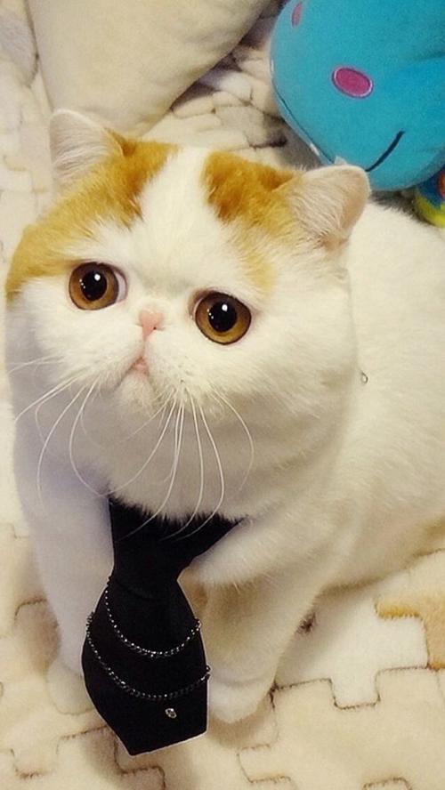 ×î¸ßÈËÃñ·¨Ôº·¢²¼25ÄêÀ´25¼þ¹ú¼ÒÅâ³¥µäÐͰ¸Àý