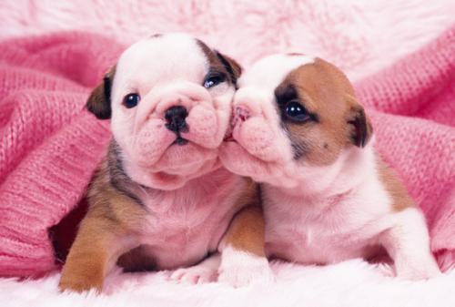 籩Ϯ ½߷ٳÿСʱ100