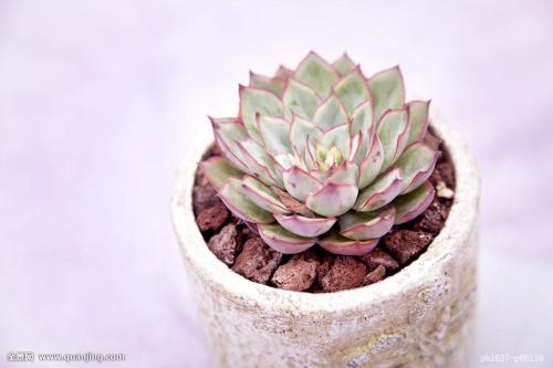 永4.2Ԫ㽭һҽթƭ