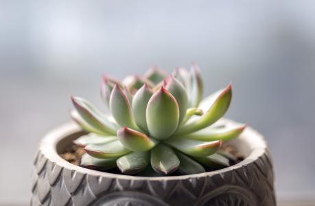 ¶íÂÞ˹³µ³¼Ê׸®¸ñÂÞ×ÈÄá·¢Éú¿Ö²À·Ö×ÓÏ®¾¯Ê¼þ