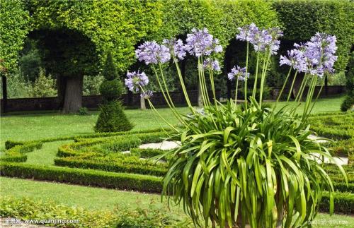 ´óÁ¬ÊÐÖÐСѧ´íʱ´í·å·Å¼Ù Ó×¶ùÔ°Ôªµ©ºóÔÝʱͣ԰