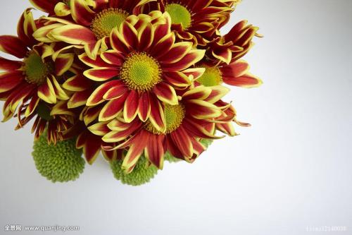 ¹ú¼ÒËÙ»¬¹ÝµÈ±±¾©ÊÐ8¸ö¶¬°Â»á¾ºÈü³¡¹ÝÈ«²¿Í깤