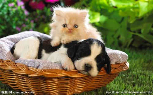 ºþ±±:Ôªµ©´º½ÚÈ¡Ïû¼¯ÌåÍŰݺʹóÐÍοÎÊ¡¢Áª»¶»î¶¯