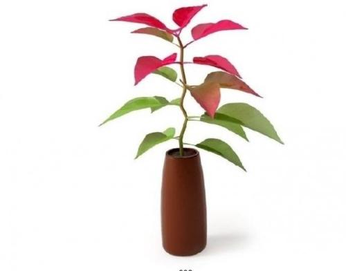 ¶í×ÜͳǩÊð·¨Áî·ÏÖ¹¡¶Å·ÖÞ³£¹æÎä×°Á¦Á¿ÌõÔ¼¡·