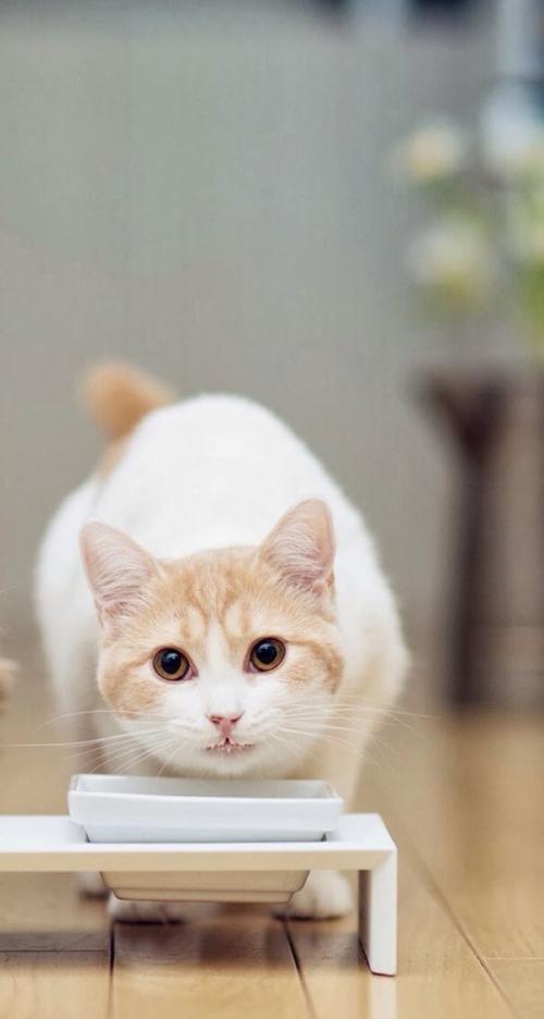 ¸ÖÇÙ¼Ò¸µ´ÏÒò¸ÐȾйڲ¡¶¾ÔÚÓ¢¹úÊÅÊÀ ÏíÄê86Ëê