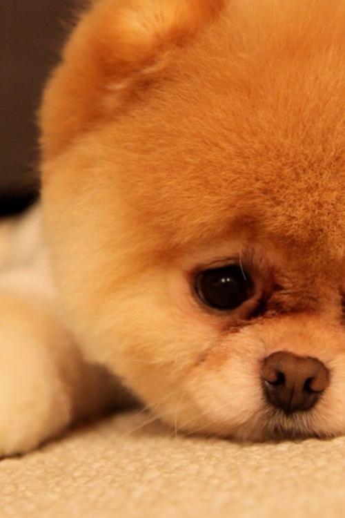 ×îÈ«¹¥ÂÔ|±±¾©Ã÷Äê1ÔÂ1ÈÕÆð¿É