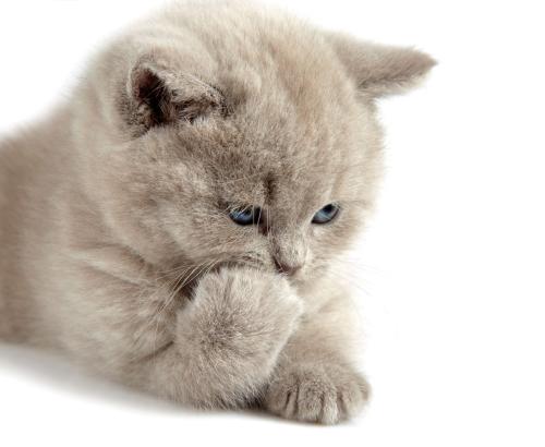 Á½²¿ÃÅ£ºÆÆ½âÉçÇø×ãÇò³¡µØÉèÊ©½¨ÉèÁù´óÄѵãÎÊÌâ