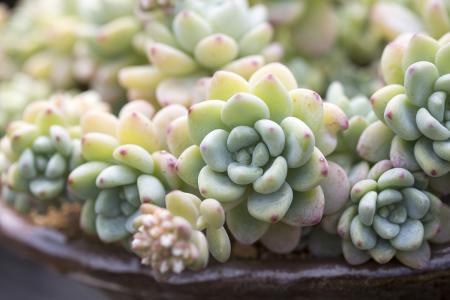 ůÐÄÓÖÐÄÌÛ£¡ËûÃÇÔÚº®·çÖÐÂÖÁ÷ÍоٵçÏß1¸ö°ëСʱ