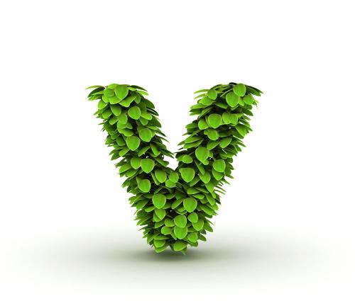 ŷ»׼202111ʱִӢŷЭ