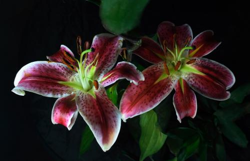 韩强化入境检疫 印尼明年起两周内暂停外国人入境