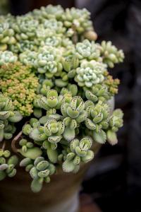 APPѹرգҪûһ˵Ļᡱ