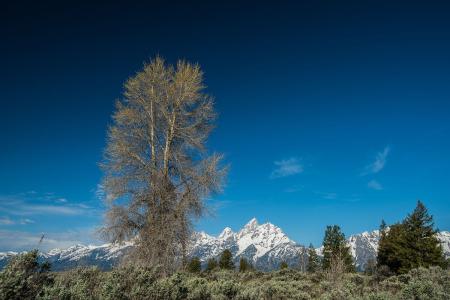 Á½²¿ÃÅ£ºÐ¡¶îÕþ¸®²É¹ºÏîÄ¿ÔÔòÉÏȫԤÁô¸øÖÐСÆó