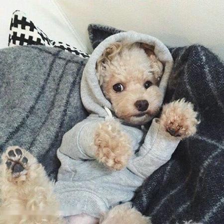 ÍÑÆ¶¹¥¼á|ɽ¶«Ò׵طöƶ°áǨƶÀ§ÈË¿ÚÈ«²¿Îȶ¨ÍÑÆ¶