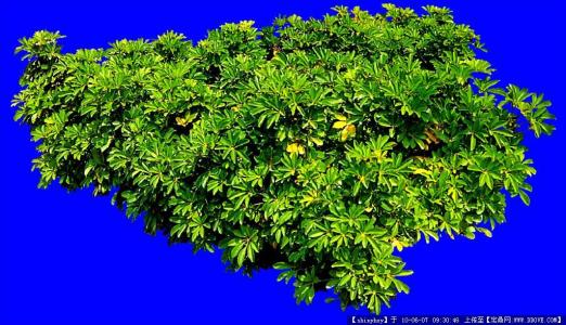 ±±¾©Æô¶¯¶ÔÅú·¢Êг¡µÈÿÈÕ¼à²â»úÖÆ È·±£¹©Ó¦Îȶ¨