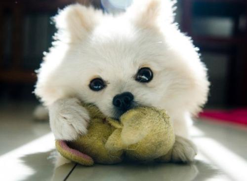 ¡¾Í¼Æ¬ÐÂÎÅ¡¿2025È«ÇòÈ˹¤ÖÇÄÜ+´ó»áÔÚ¾©¾ÙÐÐ