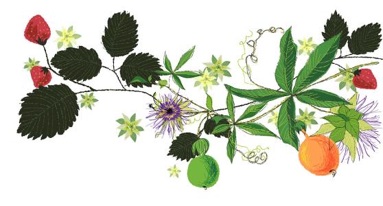 ɽһС5δůνģ31չů