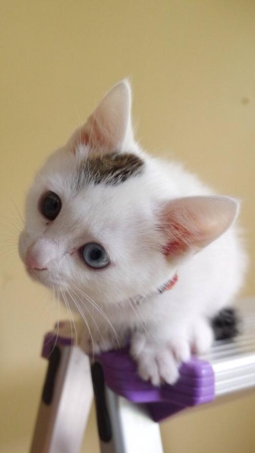 ¹ý¶ÈÒ½ÁÆ¡¢Ôì¼ÙƱ£ ÈçºÎÊØ»¤ºÃÀϰÙÐÕ