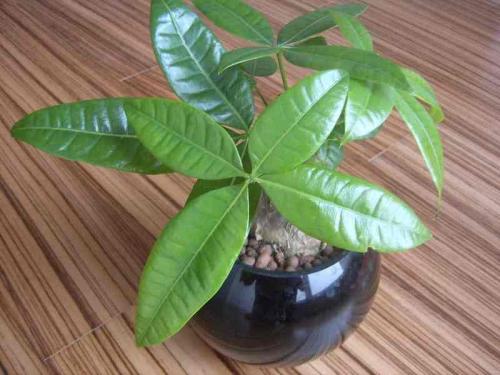 新疆连续7年开展“访民情惠民生聚民心”工作