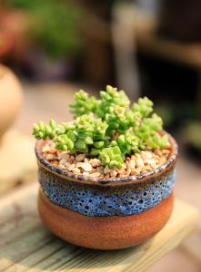 31ÈÕA¹ÉºìÅÌÊÕ¹Ù ´´Òµ°åÖ¸ÊýÈ«ÄêÕǽü65%