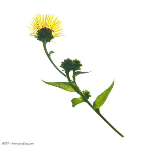 迎接2021,“基建狂魔”疯狂上新!自豪不?