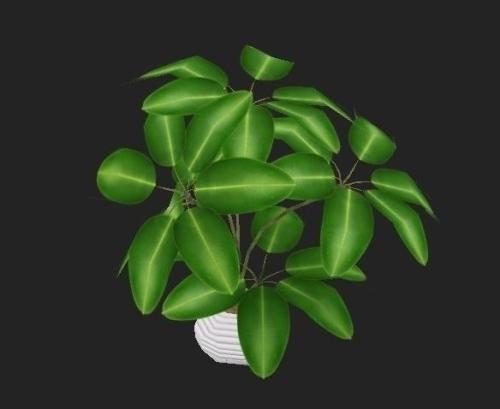 ±±¾©:5¸öÖзçÏÕÇø ˳Òå¾Ö²¿¾Û¼¯ÐÔÒßÇé,5È˱»ÎÊÔð