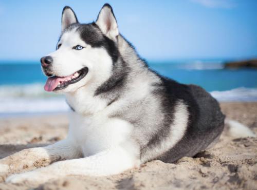 ɽۿൺִŶ:йǻ۸ۿػ